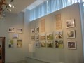 Выставка "Буслы" Выставка "Буслы"