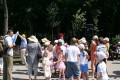 Всемирному Дню охраны окружающей среды посвящается… Всемирному Дню охраны окружающей среды посвящается…