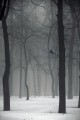 Подведение итогов и награждение победителей фотоконкурса «Животный мир парка» Подведение итогов и награждение победителей фотоконкурса «Животный мир парка»