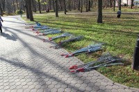 Экологическая акция "Любимому городу - ухоженный парк" Экологическая акция "Любимому городу - ухоженный парк"