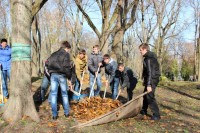 Экологическая акция "Любимому городу - ухоженный парк" Экологическая акция "Любимому городу - ухоженный парк"