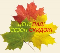 ОСЕННИЙ ЦЕНОПАД В МУЗЕЕ ОСЕННИЙ ЦЕНОПАД В МУЗЕЕ