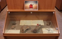 Мини-выставка «Эпоха гигантов: находки мегалоцероса в Гомеле» Мини-выставка «Эпоха гигантов: находки мегалоцероса в Гомеле»