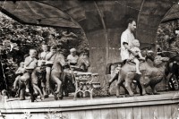 В город пришла весна В город пришла весна
