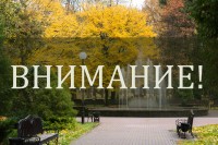 Ремонтные работы в парке Ремонтные работы в парке