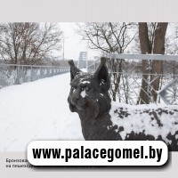 � ���� ����������� �������. ���������-�������� ��� ����������