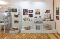 �������-����������� ������ ����������: ������� � ��������