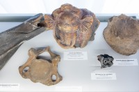 �������� ����� ����������� � �������� �������� "�������� ������� - 2025"