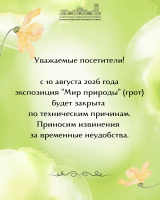 ���� �� �������� ������